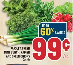 Marché Adonis PARSLEY, FRESH MINT BUNCH, RADISH AND GREEN ONIONS offer