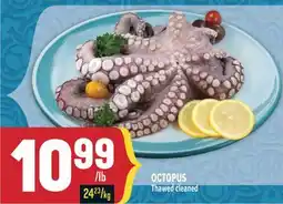 Marché Adonis OCTOPUS offer