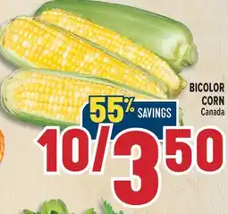 Marché Adonis BICOLOR CORN offer