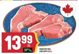 Marché Adonis GRAIN FED VEAL LOIN CHOP HALAL offer
