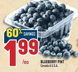 Marché Adonis BLUEBERRY PINT offer