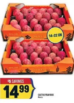 Marché Adonis CACTUS PEAR BOX offer