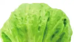 Giant Tiger Iceberg lettuce offer