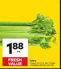 Giant Tiger Celery offer