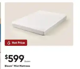 Sleep Country Bloom Mist Mattress offer