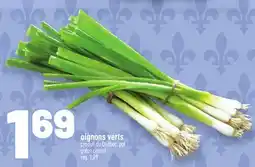 Metro OIGNONS VERTS | GREEN ONIONS offer