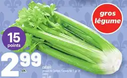Metro CÉLERI| CELERY offer