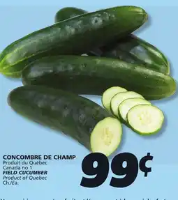 IGA FIELD CUCUMBER offer