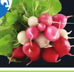 IGA MULTICOLOURED LEAF RADISHES offer