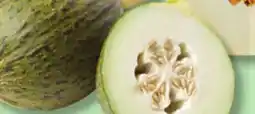 IGA SANTA CLAUS MELON offer