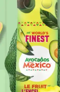 IGA HASS AVOCADO, YELLOW PITAHAYA, PITAHAYA (DRAGON FRUIT) OR LITCHEES offer