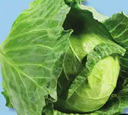 IGA GREEN CABBAGE offer