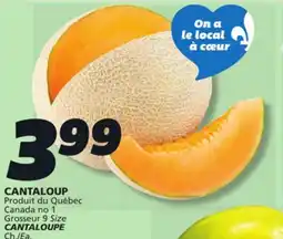 IGA CANTALOUPE offer