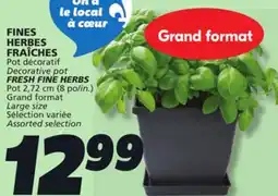 IGA Decorative pot FRESH FINE HERBS offer