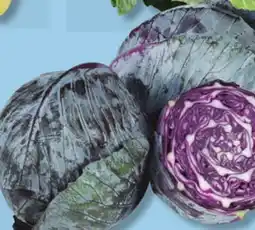 IGA RED CABBAGE offer