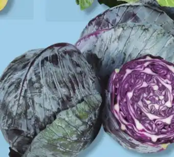 IGA RED CABBAGE offer