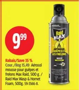 Canadian Tire Raid Max Wasp & Hornet Foam offer