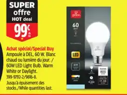 Canadian Tire Globe 60W LED Light Bulb. Warm White or Daylight offer