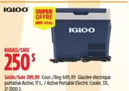 Canadian Tire Igloo Active Portable Electric Cooler, 17L offer