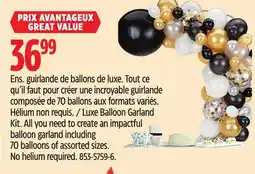 Canadian Tire Luxe Balloon Garland Kit offer