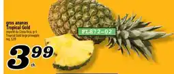 Marché Richelieu GROS ANANAS TROPICAL GOLD | TROPICAL GOLD LARGE PINEAPPLE offer