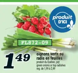 Marché Richelieu OIGNONS VERTS OU RADIS EN FEUILLES | GREEN ONIONS OR TOP RADISHES offer