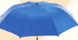 Canadian Tire Clamp-On Beach Chair Umbrella offer