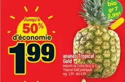 Super C ananas Tropical Gold | Tropical Gold pineapple offer