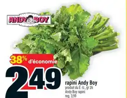 Super C rapini Andy Boy | Andy Boy rapini offer