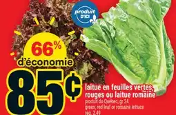 Super C laitue en feuilles vertes, rouges ou laitue romaine | green, red leaf or romaine lettuce offer