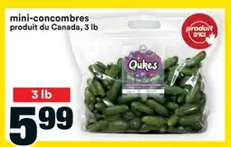 Super C mini-concombres offer