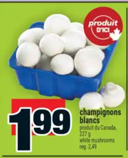 Super C champignons blancs | white mushrooms offer