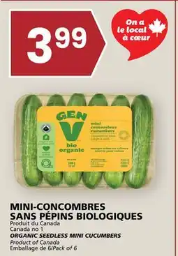 Rachelle-Bery Grocery ORGANIC SEEDLESS MINI CUCUMBERS offer