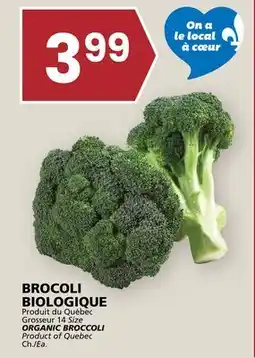 Rachelle-Bery Grocery ORGANIC BROCCOLI offer