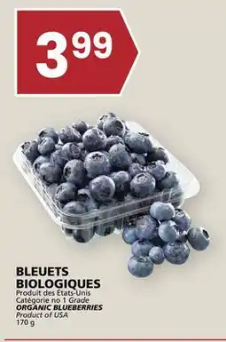Rachelle-Bery Grocery BLEUETS ORGANIC BLUEBERRIES offer