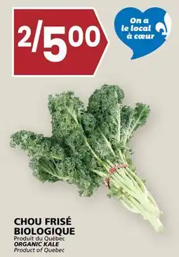 Rachelle-Bery Grocery ORGANIC KALE offer