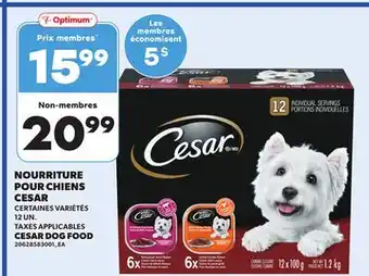 Provigo CESAR DOG FOOD, 12 UN offer