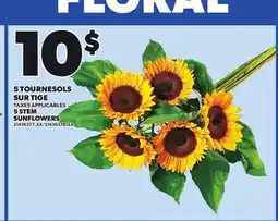 Provigo 5 STEM SUNFLOWERS offer