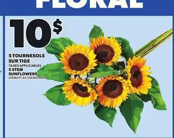 Provigo 5 STEM SUNFLOWERS offer