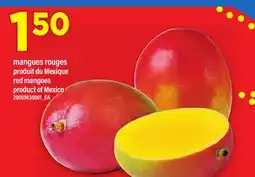 Maxi MANGUES ROUGES | RED MANGOES offer