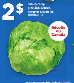 Maxi LAITUE ICEBERG offer