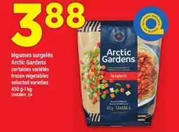 Maxi LÉGUMES SURGELÉS ARCTIC GARDENS, 450 g-1 kg offer