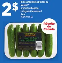Maxi MINI CONCOMBRES DÉLICES DU MARCHÉ, 6 UN offer
