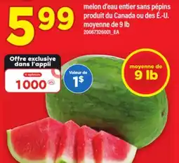 Maxi MELON D'EAU ENTIER SANS PÉPINS MOYENNE, DE 9 LB offer