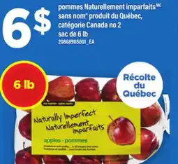 Maxi POMMES NATURELLEMENT IMPARFAITS SANS NOM , SAC DE 6 LB offer