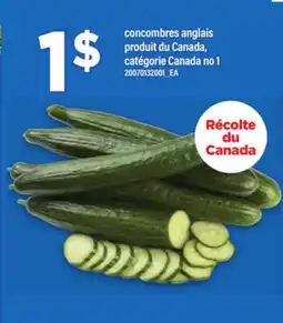Maxi CONCOMBRES ANGLAIS offer