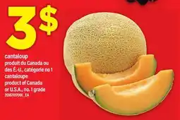 Maxi CANTALOUP | CANTALOUPE offer