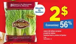Maxi CŒURS DE LAITUE ROMAINE | ROMAINE HEARTS, 3 UN offer