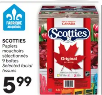 Brunet SCOTTIES Papiers mouchoirs sélectionnés offer