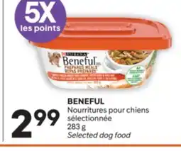 Brunet BENEFUL Nourritures pour chiens sélectionnée offer